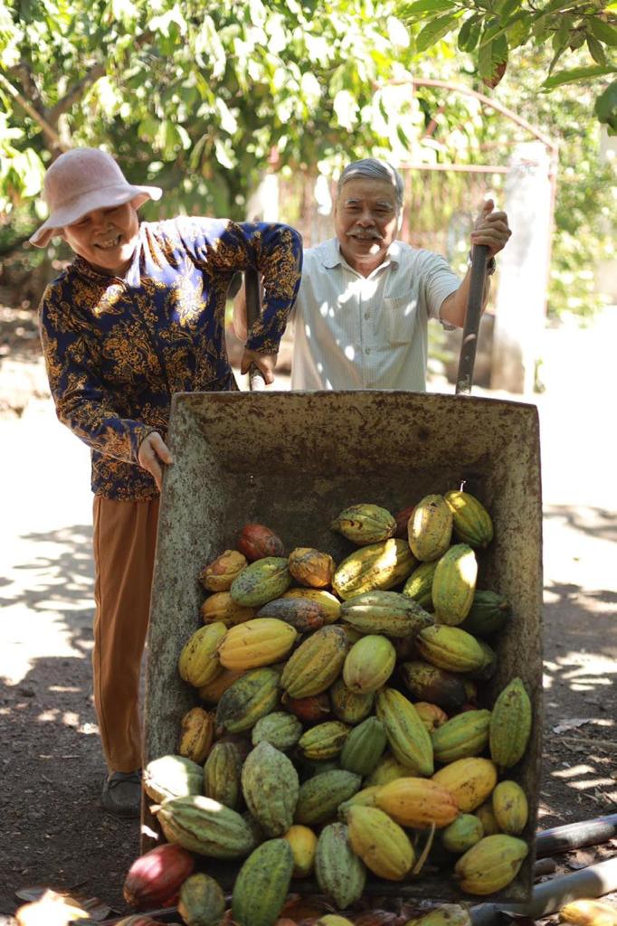 Notre nouveau Grand Cru : 70% Vietnam, Bà Rịa-Vũng Tàu