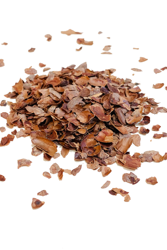 Chocaccouche : infusion feuilles de framboisier et cacao